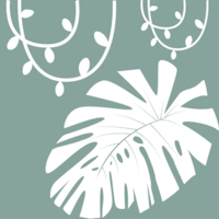 plantas urban jungle