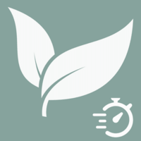 plantas que crecen rápido