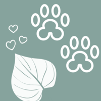 plantas seguras para mascotas