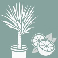 plantas del mediterráneo