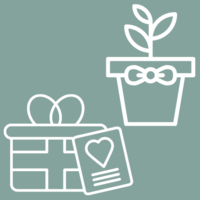 plantas con tarjeta dedicatoria