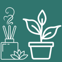 plantas aromáticas