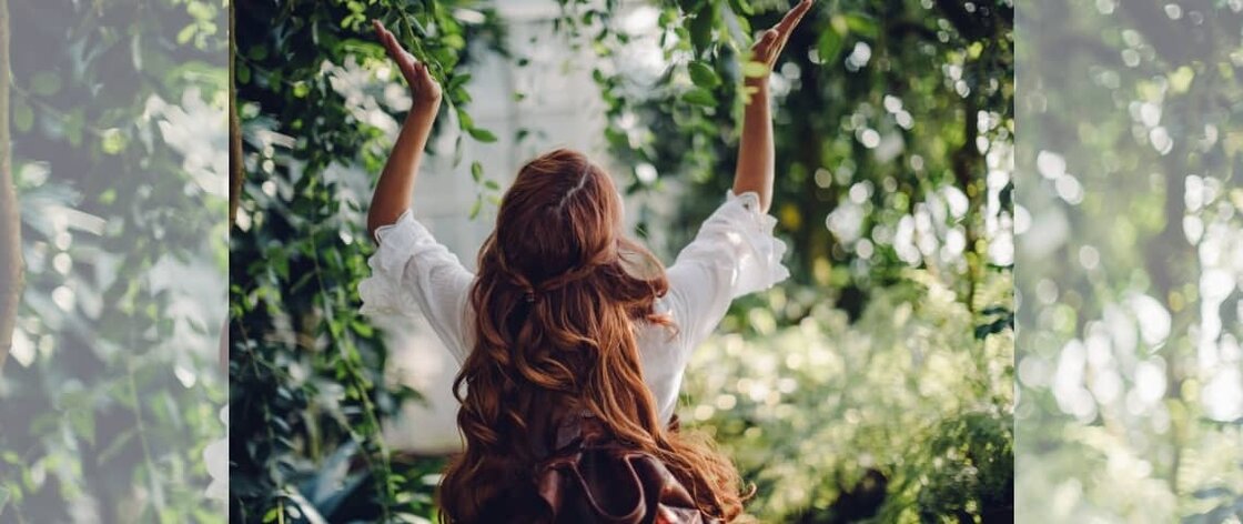 plantas urban jungle