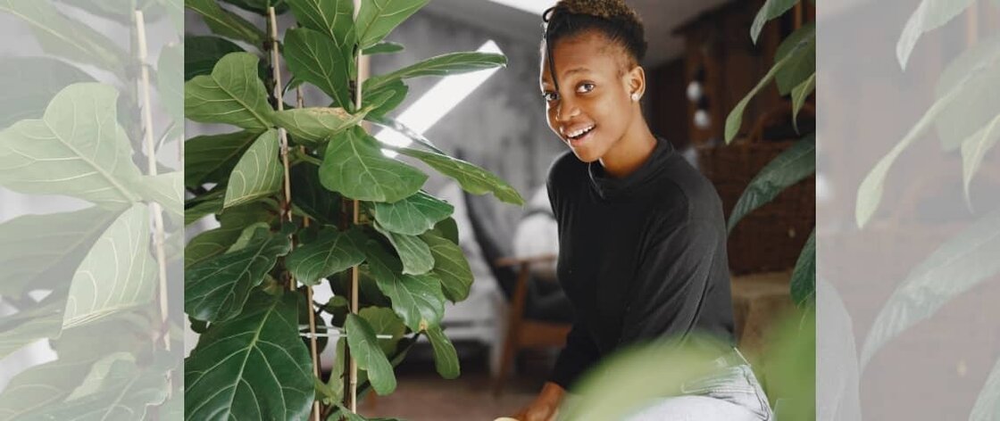 plantas de cuidado fácil