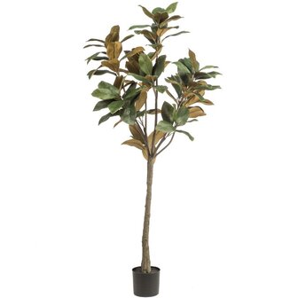 planta artificial Magnolia grandiflora