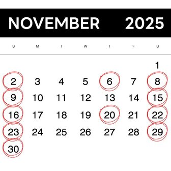 calendario noviembre 2025