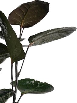 hojas aralia fabian 100cm