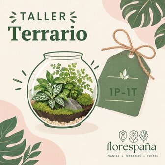 cup&oacute;n taller terrario 1 persona y 1 terrario