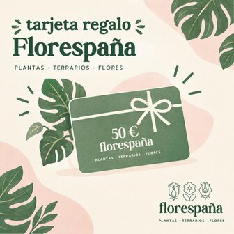 tarjeta regalo florespana.es 50 euros