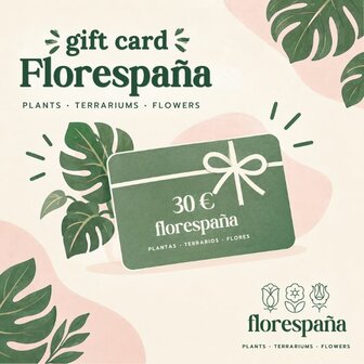Florespana gift card of 30 euros