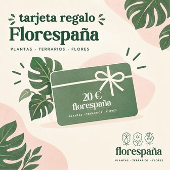 tarjeta regalo florespana.es 20 euros