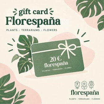 gift card florespana.es 20 euros