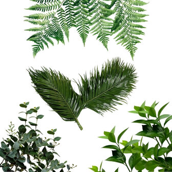 verdes