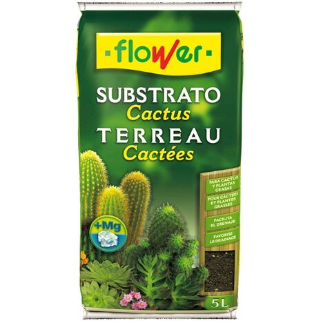 sustrato cactus