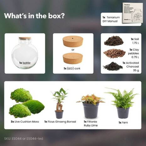 contenido kit terrario plantas 