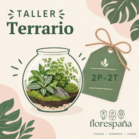 cup&oacute;n taller terrario 2 personas y 2 terrarios