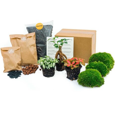 kit-diy-terrario-fbfrfg