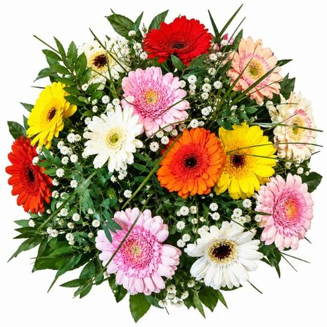 ramo gerberas