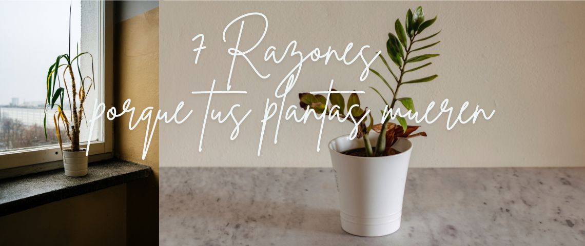 plantas tristes