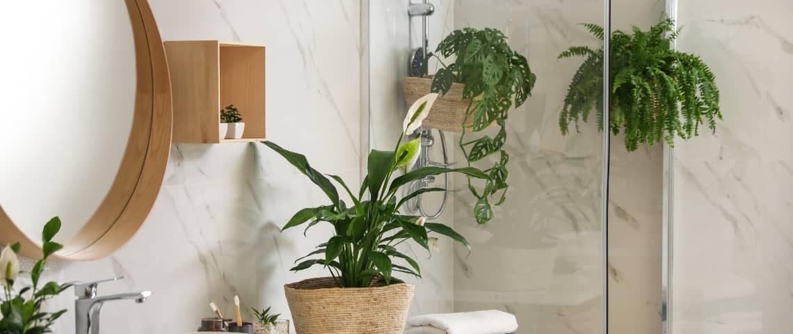 estilos diferentes y decoración con plantas