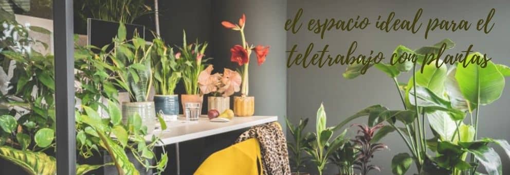 espacio ideal para teletrabajar