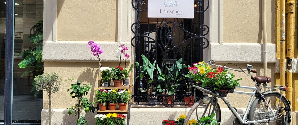 Haz clic para visitar la tienda Valencia!