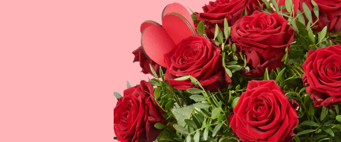 red roses for Valentine