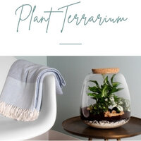 Ultimate guide to terrariums and create a tiny ecosystem!