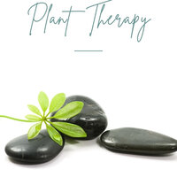 One of the ways to make you feel happy: plant therapy