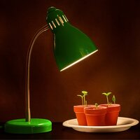 Grow light for houseplants