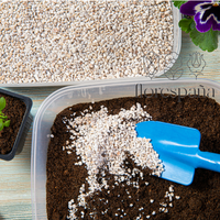 ¿Cómo puede la perlita beneficiar la calidad del suelo y el crecimiento de tus plantas?