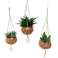ALOE VERA MIX IN ECOCOCO BASKETS KOKEDAMA