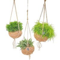 KOKEDAMA RHIPSALIS MIX IN ECOCOCO HANGING BASKETS
