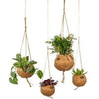 KOKODAMA PLANT MIX IN ECOCOCO BASKETS (KOKEDAMA)