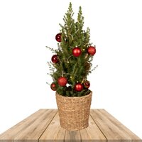 ÁRBOL NAVIDEÑO ADORNADO COLOR ROJO PICEA GLAUCA CONICA 80CM - ABETO NATURAL 