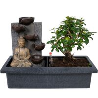 BONSAI TREE WITH WATERFALL & BUDDHA