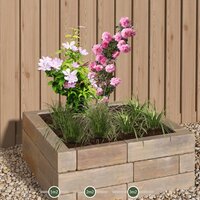 PACK COMPOSICIÓN JARDINERA 'ROMANTICO'