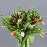 RAMO MEZCLADO DE 20 TULIPANES 40CM (TULIPA)