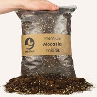 SUSTRATO PREMIUM PARA ALOCASIA 5L