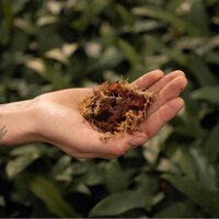 SUSTRATO PREMIUM PARA ORQUÍDEAS 5L