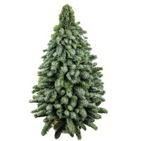 🎄🪚 ÁRBOL NOBILIS