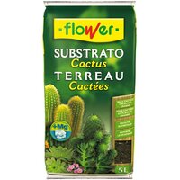 POTTING SOIL FOR CACTUS & SUCCULENTS 5L