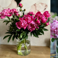 RAMO DE 5 PEONIAS 45CM (PEONIA)